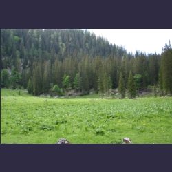 2007-05_08Wasseralm (003).JPG